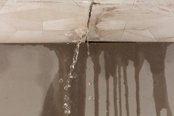 Professional Water Extraction technician working in Athens, NY